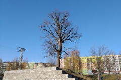 IMG_20191114_134509