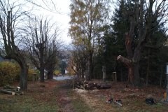 IMG_20181027_103112